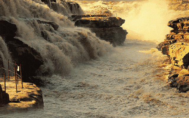 640_401gif 动态图 动图