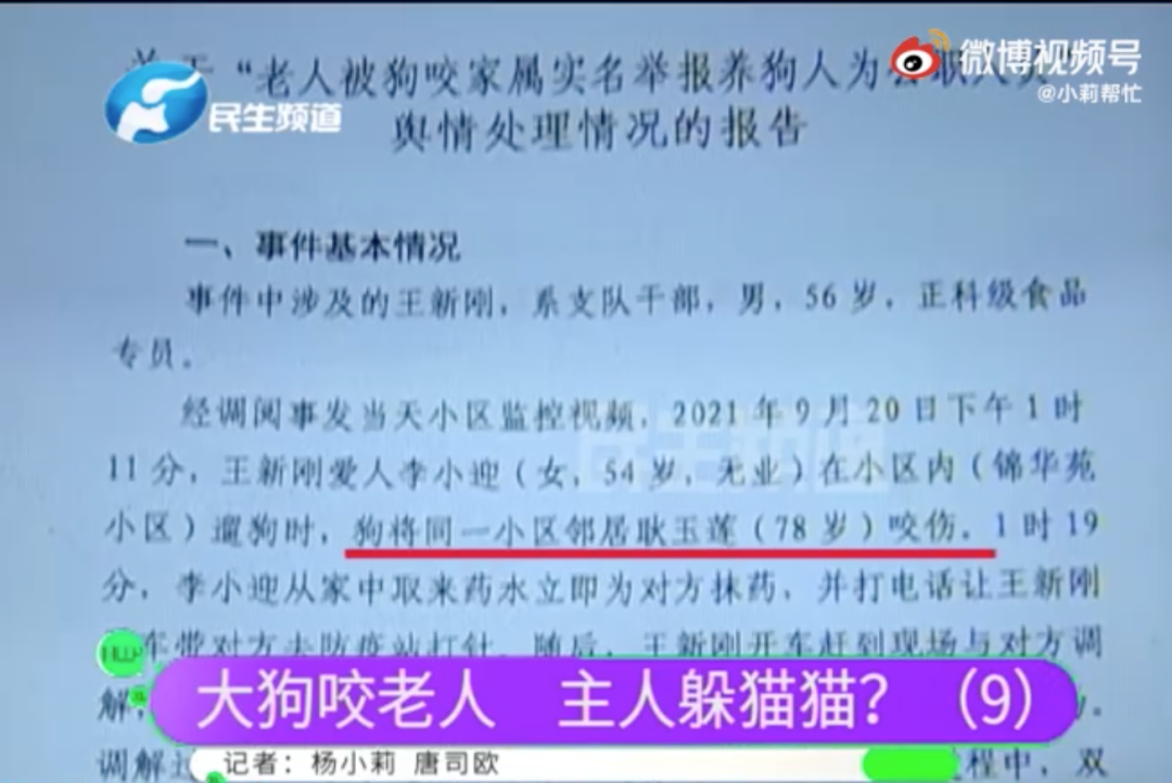 大狗咬伤老人，主人耍无赖！9期节目仍未解决，把“小莉”为难哭的狗主人想和解