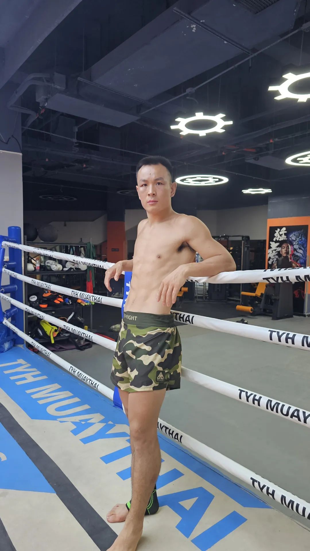 蜇伏蓄能11月25日猛虎铁英华出山